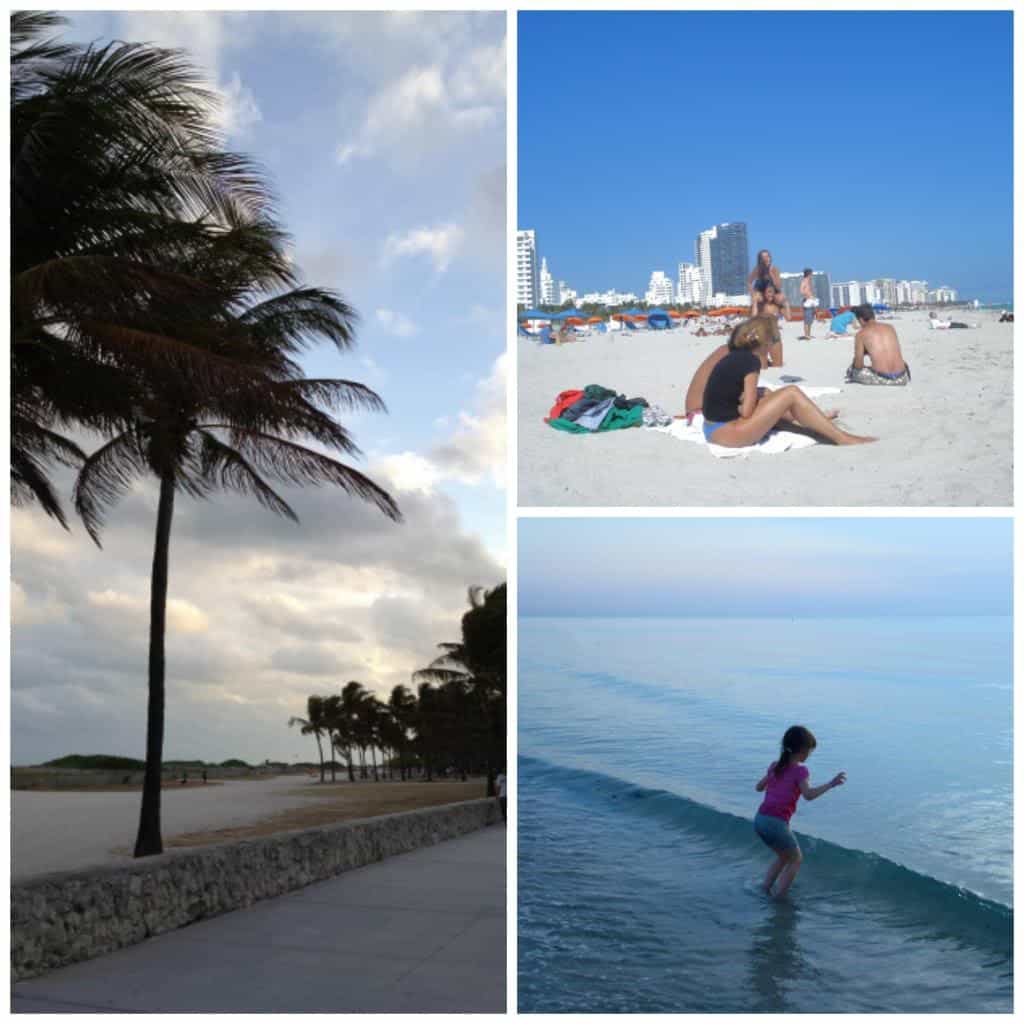 top-5-things-to-do-in-miami-beach-fl