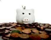 Save money in the piggy bank