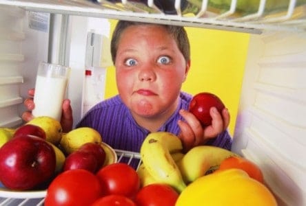stress and childhood obesity