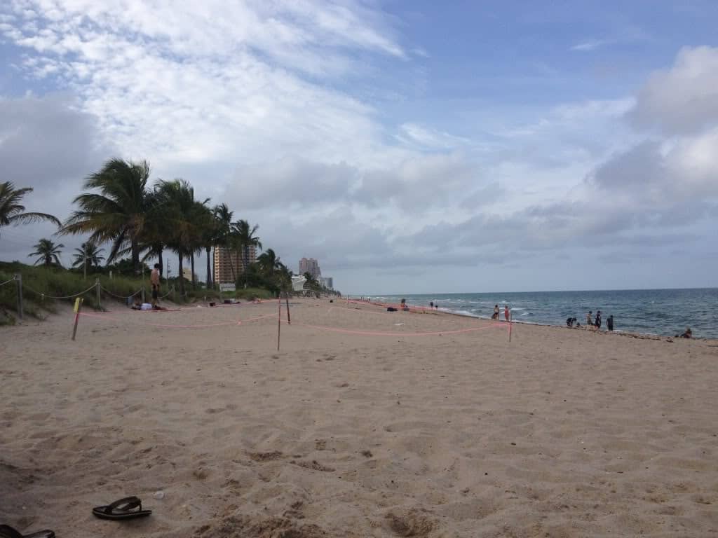 things-to-do-in-fort-lauderdale-with-kids