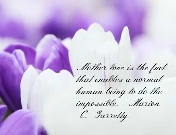 beautiful-mothers-day-quotes-and-messages
