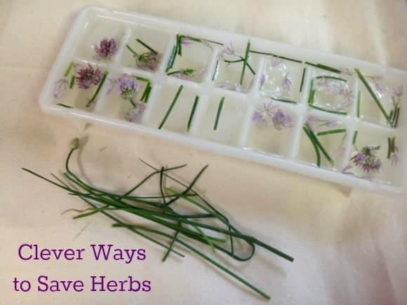 clever-ways-to-save-herbs-for-later