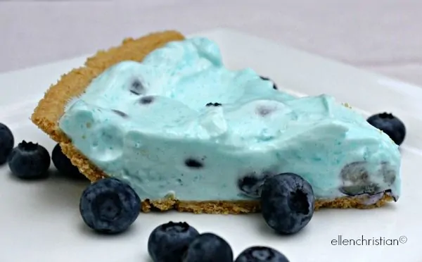 Easy, Healthy and Gluten-Free Blueberry Yogurt Pie l Homemade Recipes //homemaderecipes.com/holiday-event/24-recipes-for-blueberry-pie-day