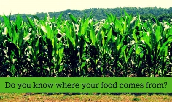 where-food-comes-from
