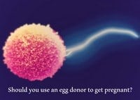 Egg Donor to Get Pregnant