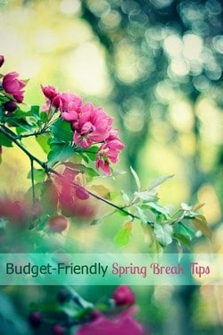 Spring Break Week: How Not to Break the Budget