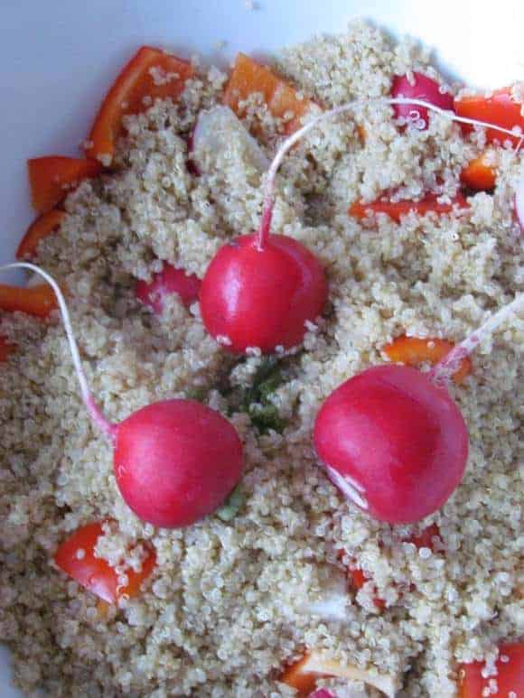 quinoa-salad-recipe-radish