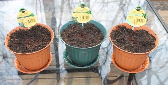 grow-healthy-garden-scotts-gro-ables