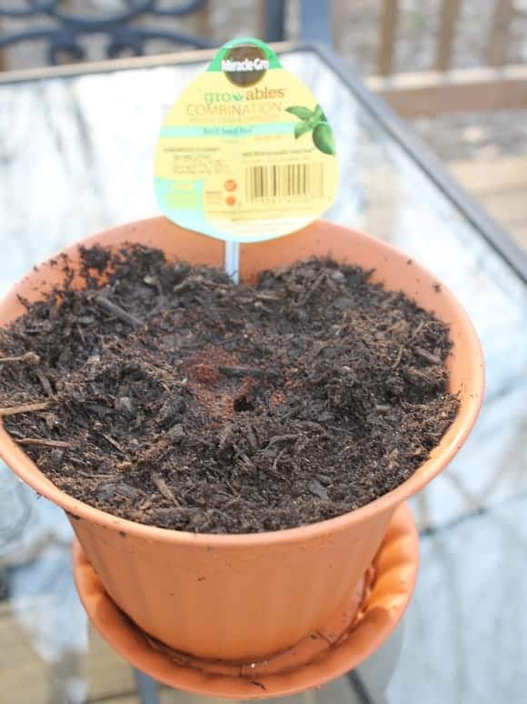 grow-healthy-garden-scotts-gro-ables
