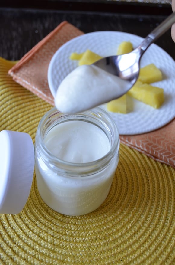 easy-homemade-yogurt-recipes-yogurt-maker