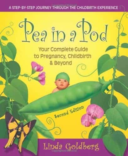 pregnancy-books-first-time-moms