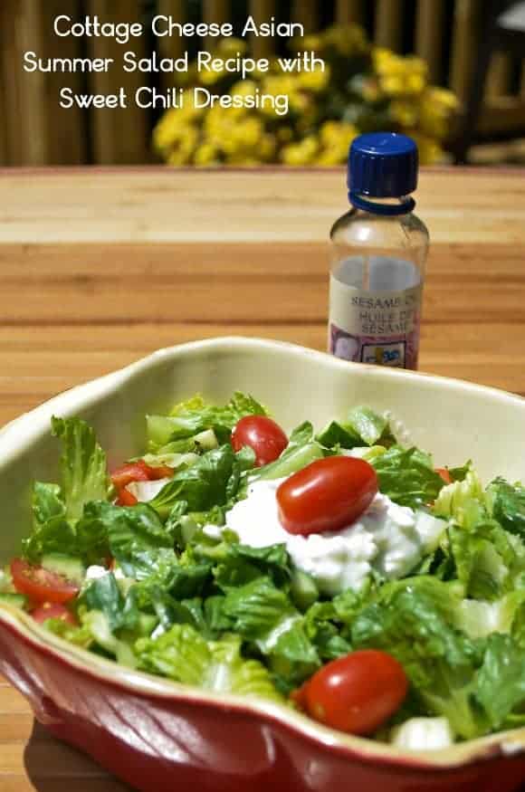 healthy-recipe-cottage-cheese-aisan-summer-salad-recipe