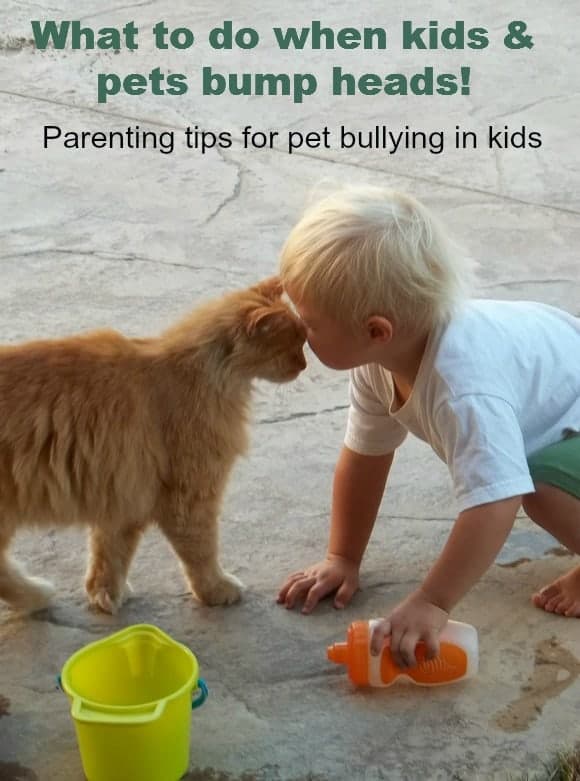 parenting-tips-kids-bullying-pets