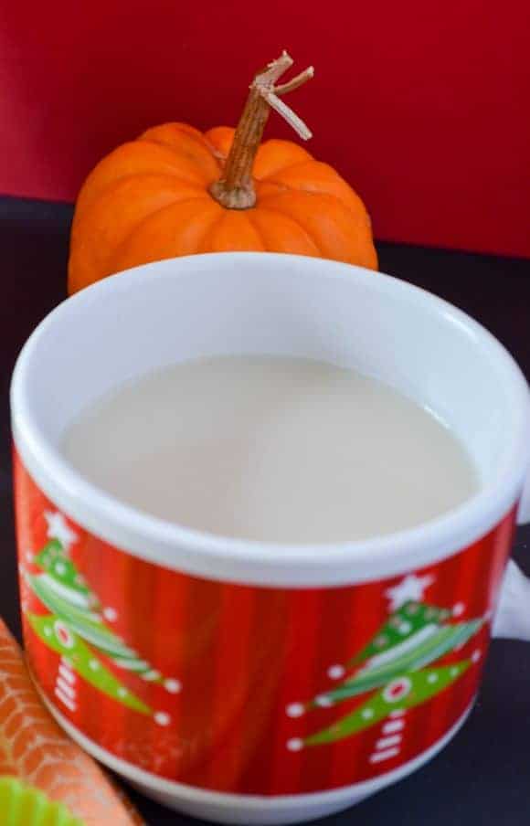 silk-lowfat-pumpkin-muffins-dairy-free-recipe-for-kids
