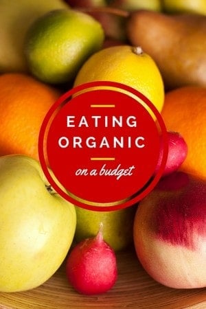 Is it possible to eat an organic diet when you have to shop on a budget? Check out our tips on how to keep within your food budget while eating healthier.