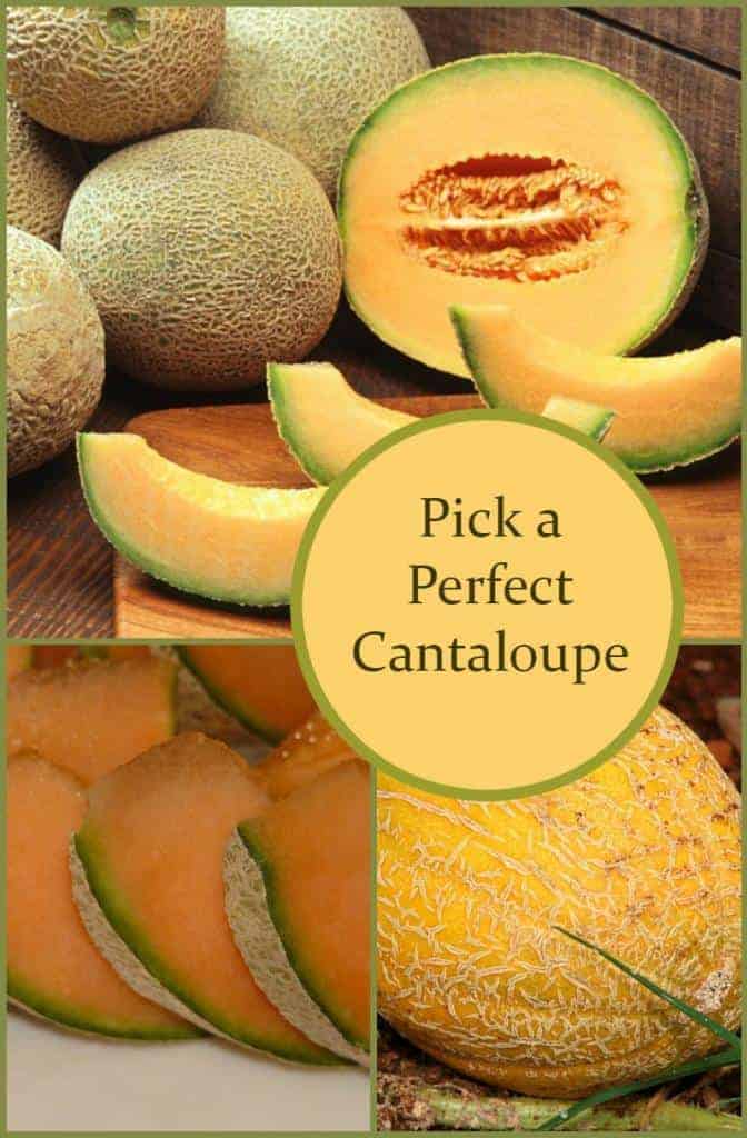 How to Pick the Perfect Cantaloupe