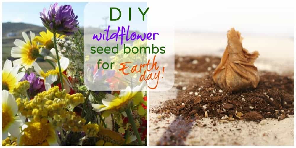 Easy Earth Day Craft: Wildflower Seed Bombs