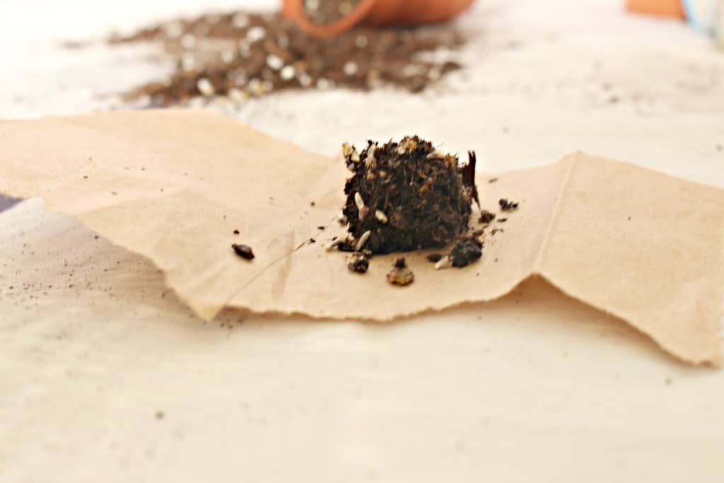 easy-earth-day-craft-wildflower-seed-bombs