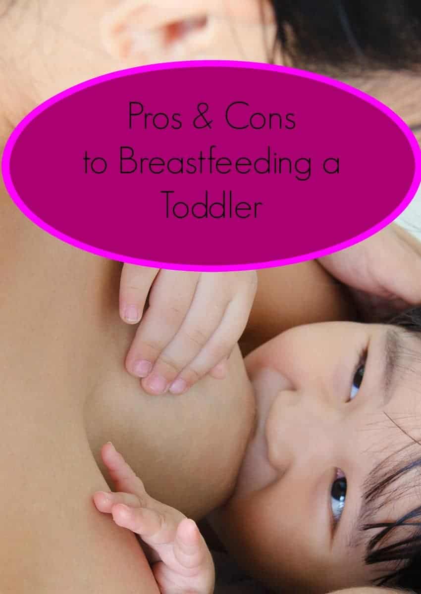 Wondering whether you should continue breastfeeding into your child's second or third year of life? Check out the pros and cons of breastfeeding a toddler. 