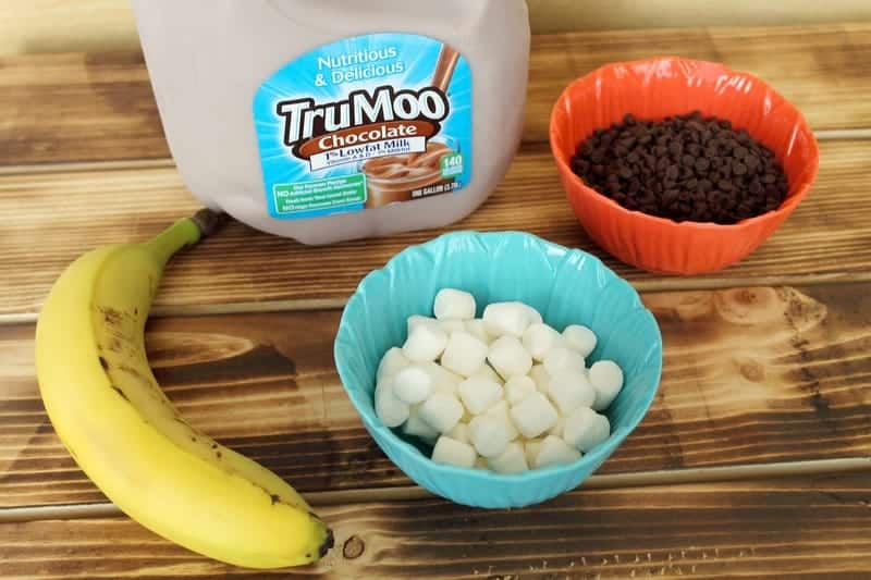 mixed-up-trumoo-double-chocolate-pudding-pops-recipe