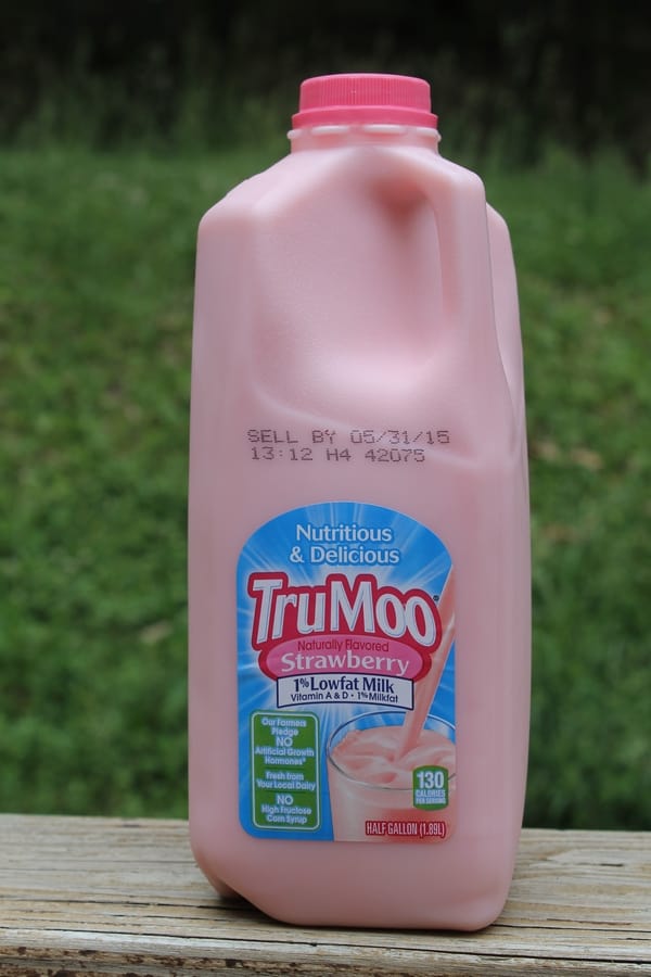 tips-for-making-backyard-camping-a-real-adventure-trumoo