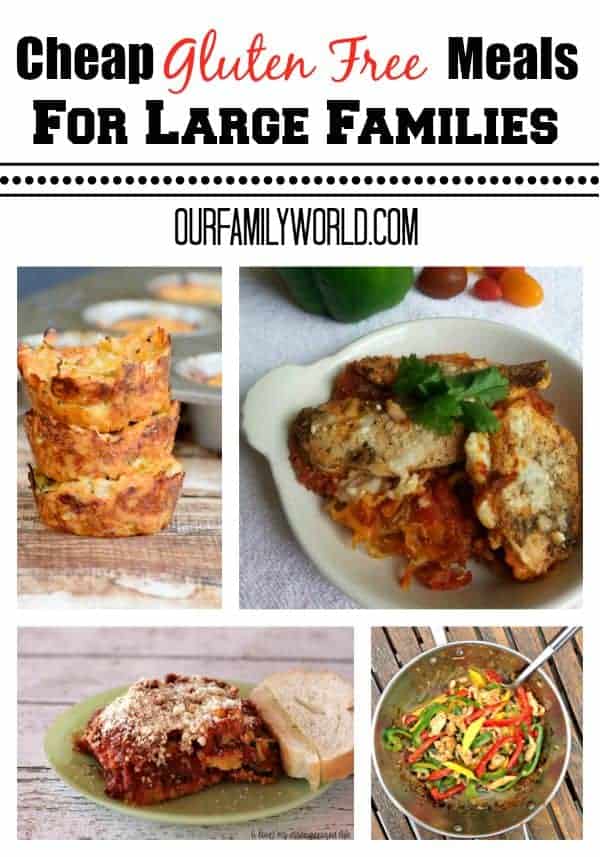 Looking for cheap gluten free meals for large families? Check out these delicious hit recipes that will feed your hungry crowd! 