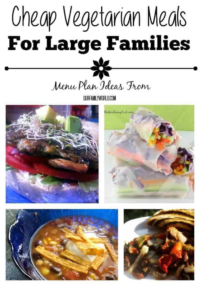 These Cheap Vegetarian Meals For Large Families will leave you satisfied and happy. Even the meat eaters in the family will love them!