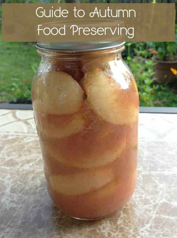 Autumn food preserving is a great way to keep all those delicious fruits and veggies tasting fresh long after the season has ended. Check out the two ways to do it!