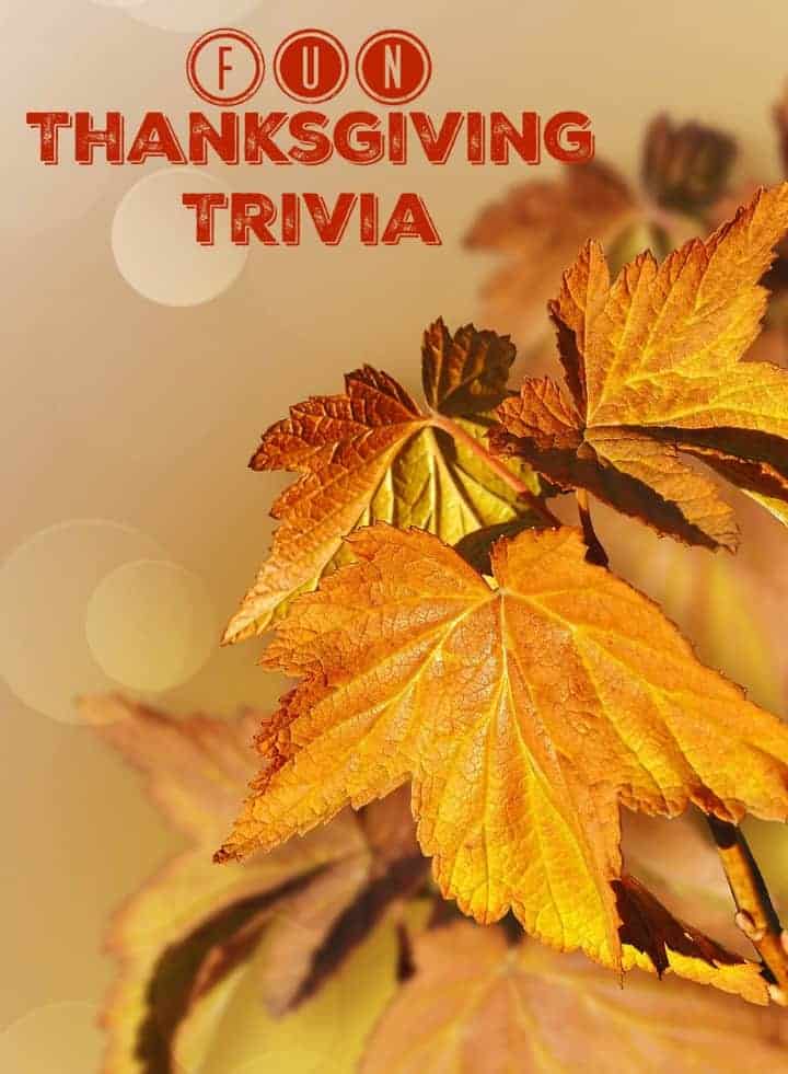 Looking for a few fun facts about Thanksgiving for that big family trivia game after the turkey dinner? Check out these great bits of info you didn't know!