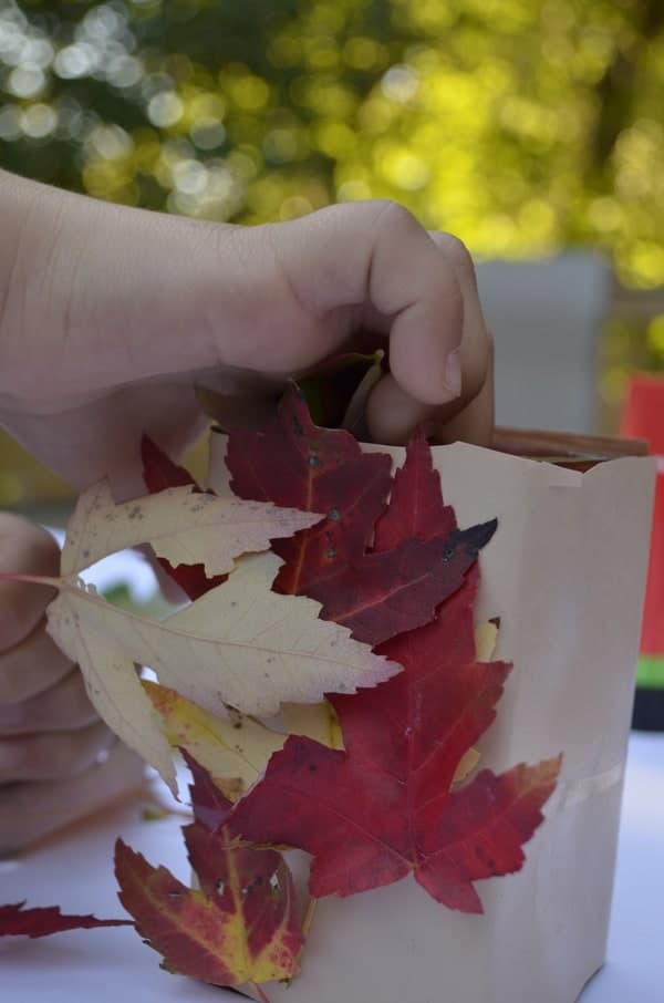 how-to-preserve-the-beauty-of-fall-leaves