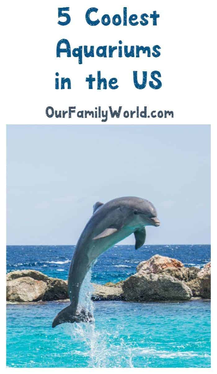 Want to see your child's face light up on your family vacation? Take them to one of these coolest aquariums in the United States!