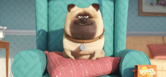 Wondering where else you've seen the cast of The Secret Life of Pets? Check out other movies they've appeared in!