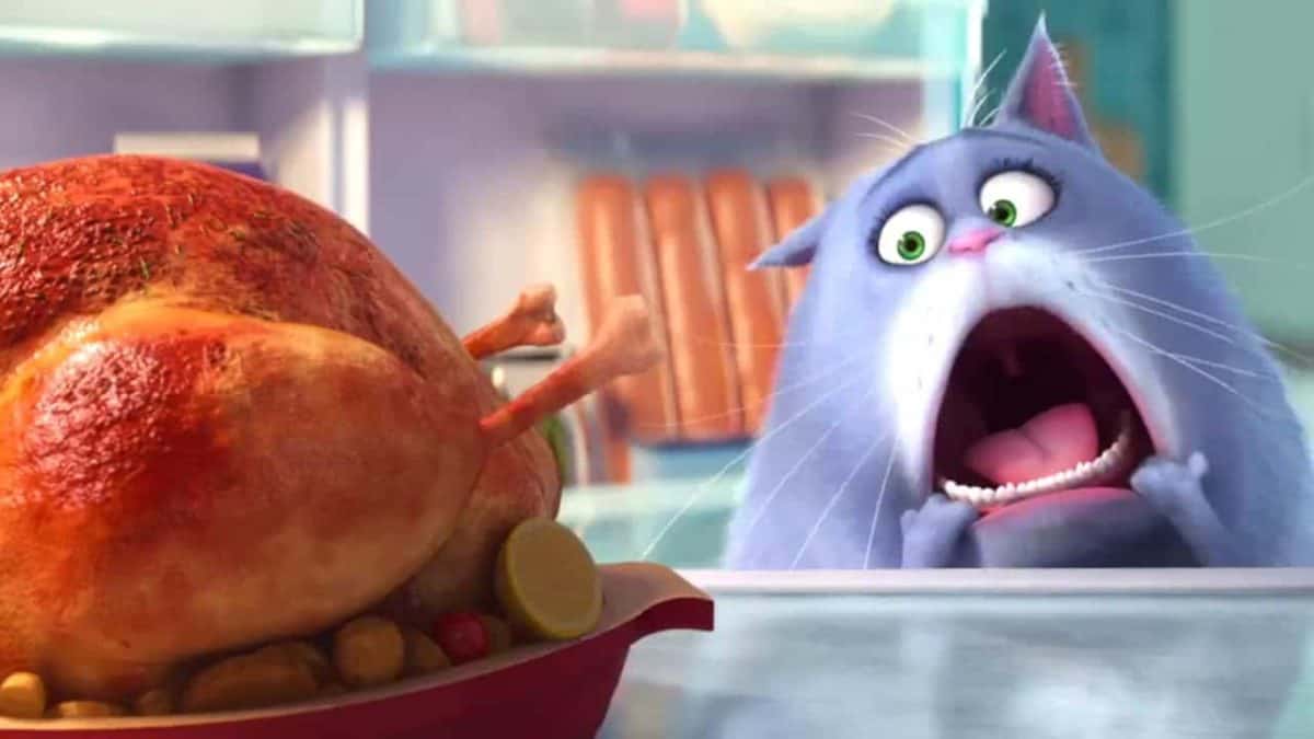 Check out 7 fun facts you'll want to know about #TheSecretLifeofPets! We can't wait to see this one!