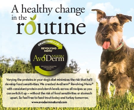 avoderm-natural-dog-food-review