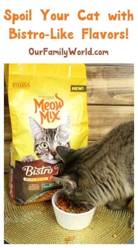 meow-mix-bistro-review