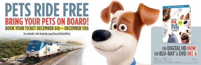 Have you heard? Pets ride free on Amtrak to celebrate The Secret Life of Pets release! Check out the details!