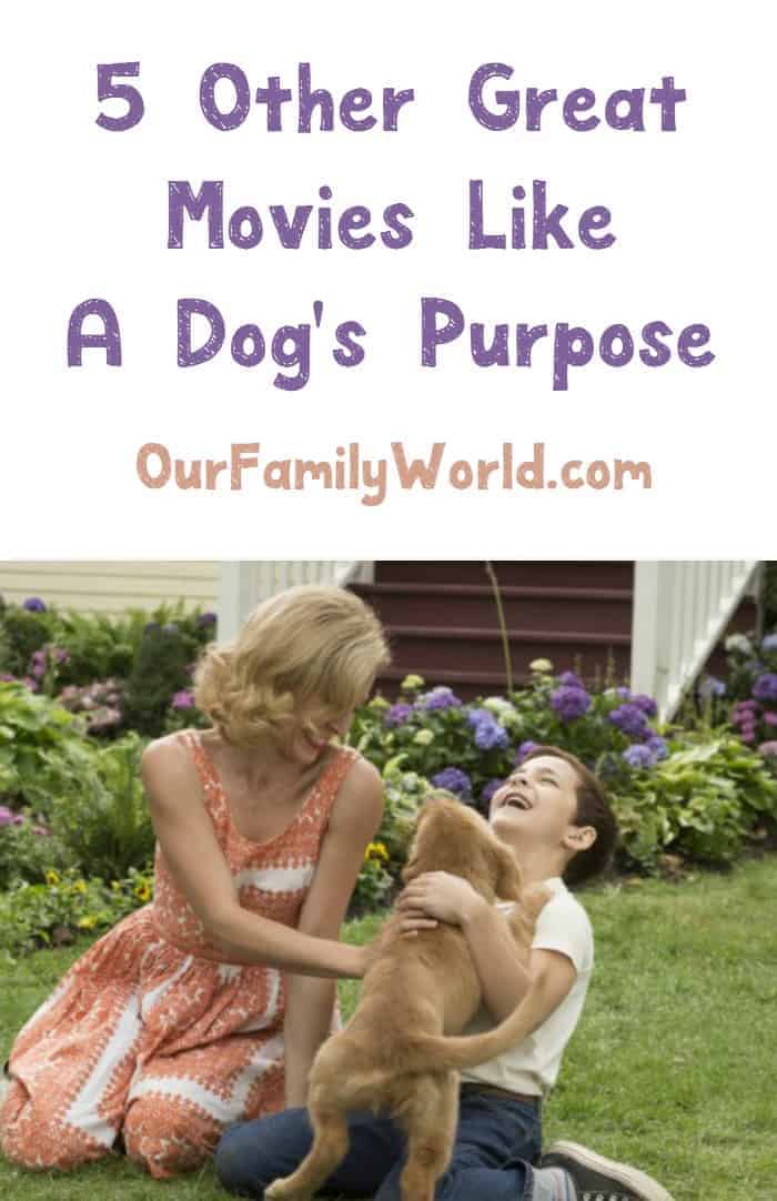 Looking for more heartwarming animal movies like A Dog's Purpose? Gather the family around the TV and check out one of these sweet tales (or should that be tails?)!