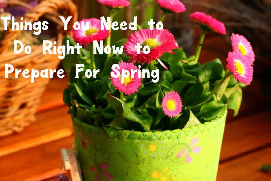 Are you ready for spring? Check out three things you should be doing now to make the most of the warmer months later!