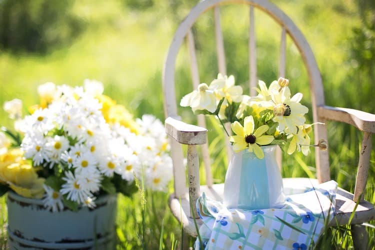 See how to turn your backyard into a stunning summer oasis without spending a fortune! Check out 5 budget-friendly backyard décor tips!