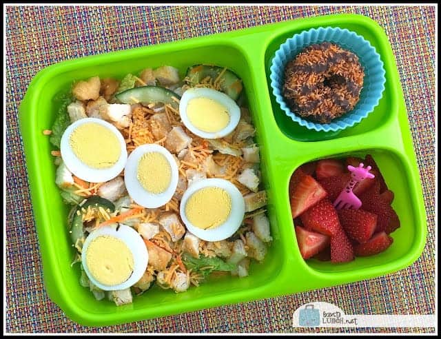 bento-box-ideas-kids-school-lunches