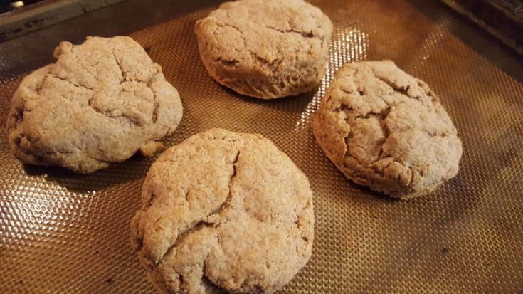 Quick Whole Wheat Dinner Biscuits