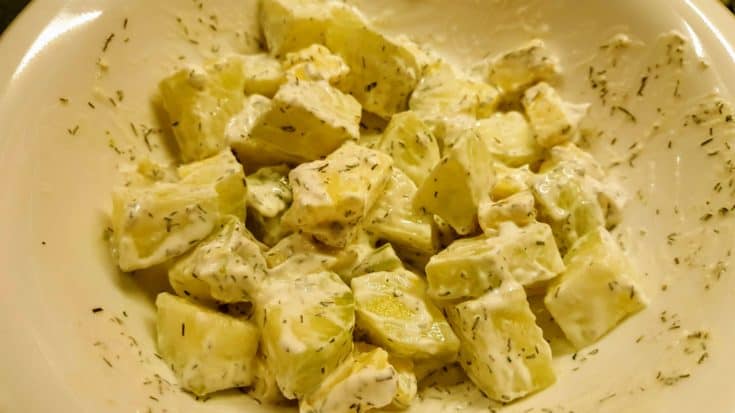 Cucumber and Cheddar Cheese Salad with a Creamy Dill Sauce